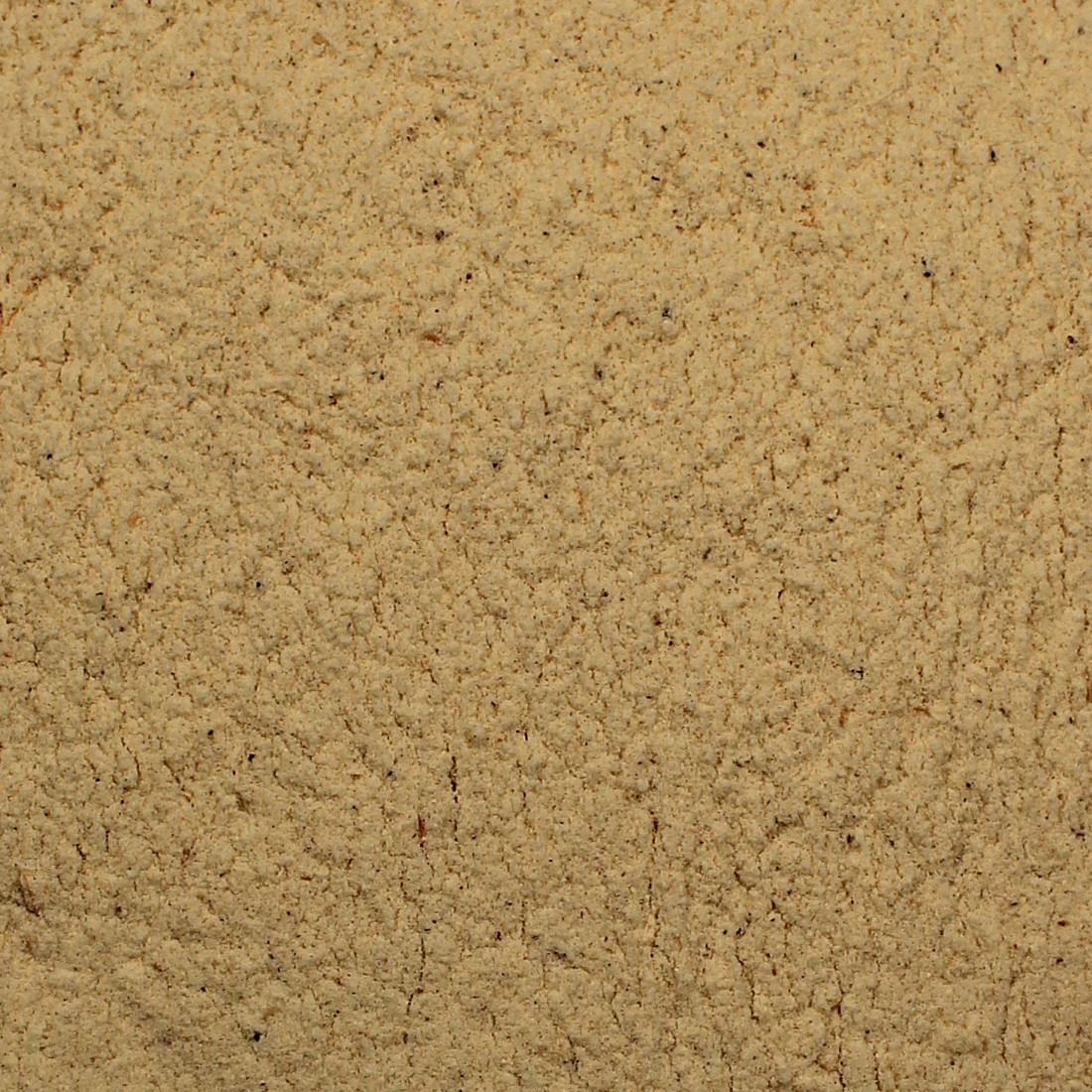 Baobab dlaňovitý BIO