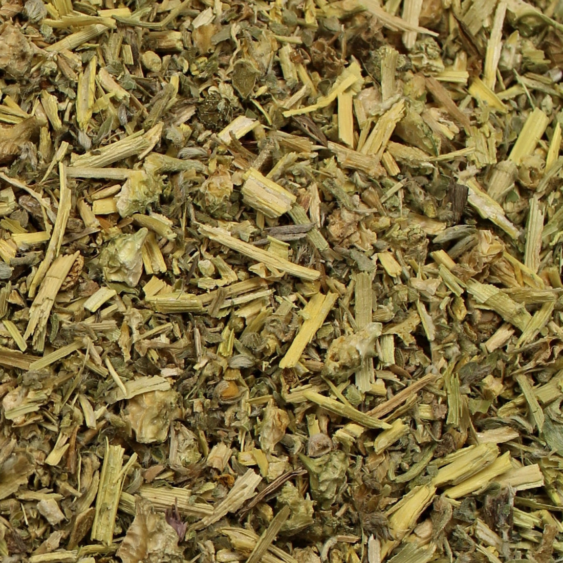 Bulharský kotvičník