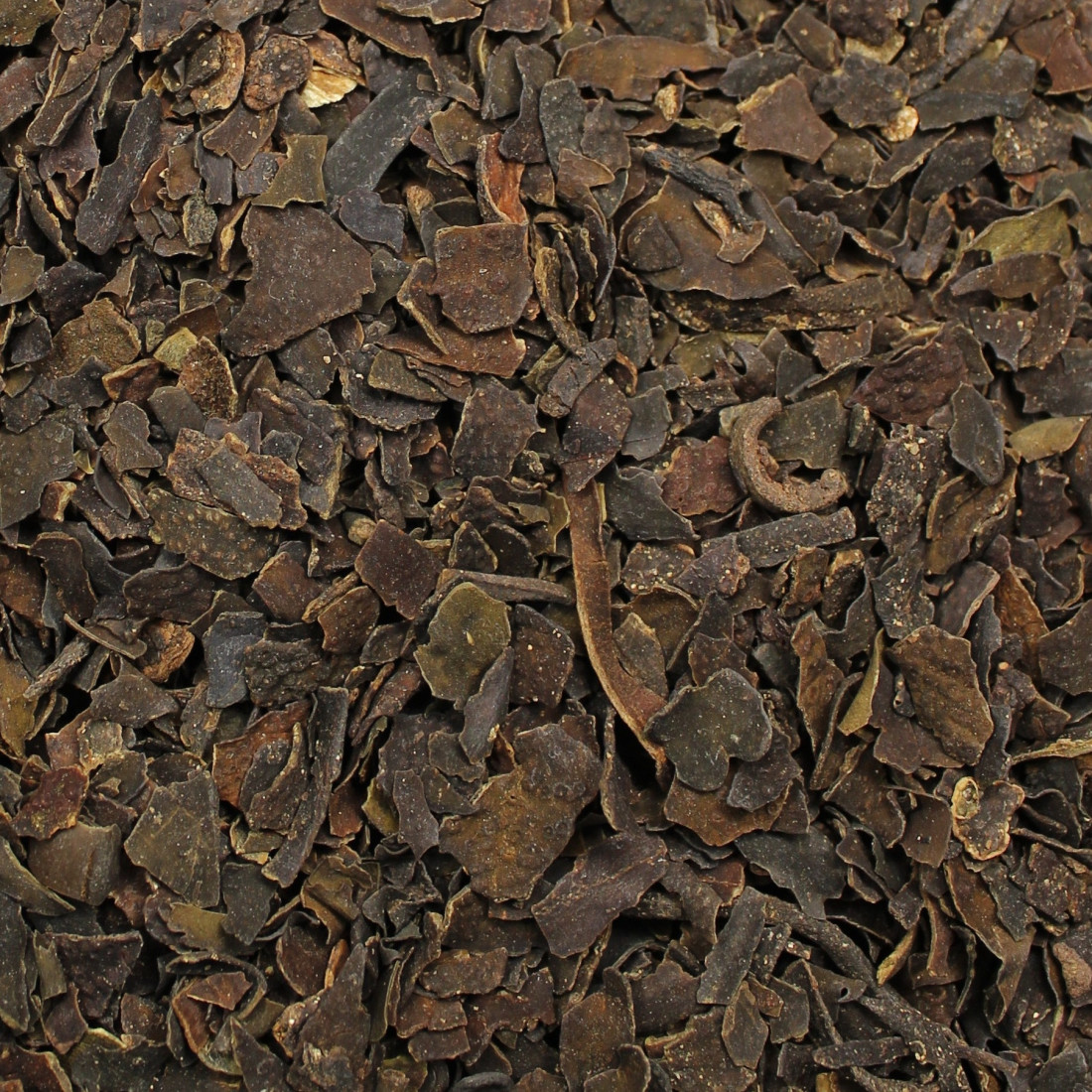 Chaluha bublinatá