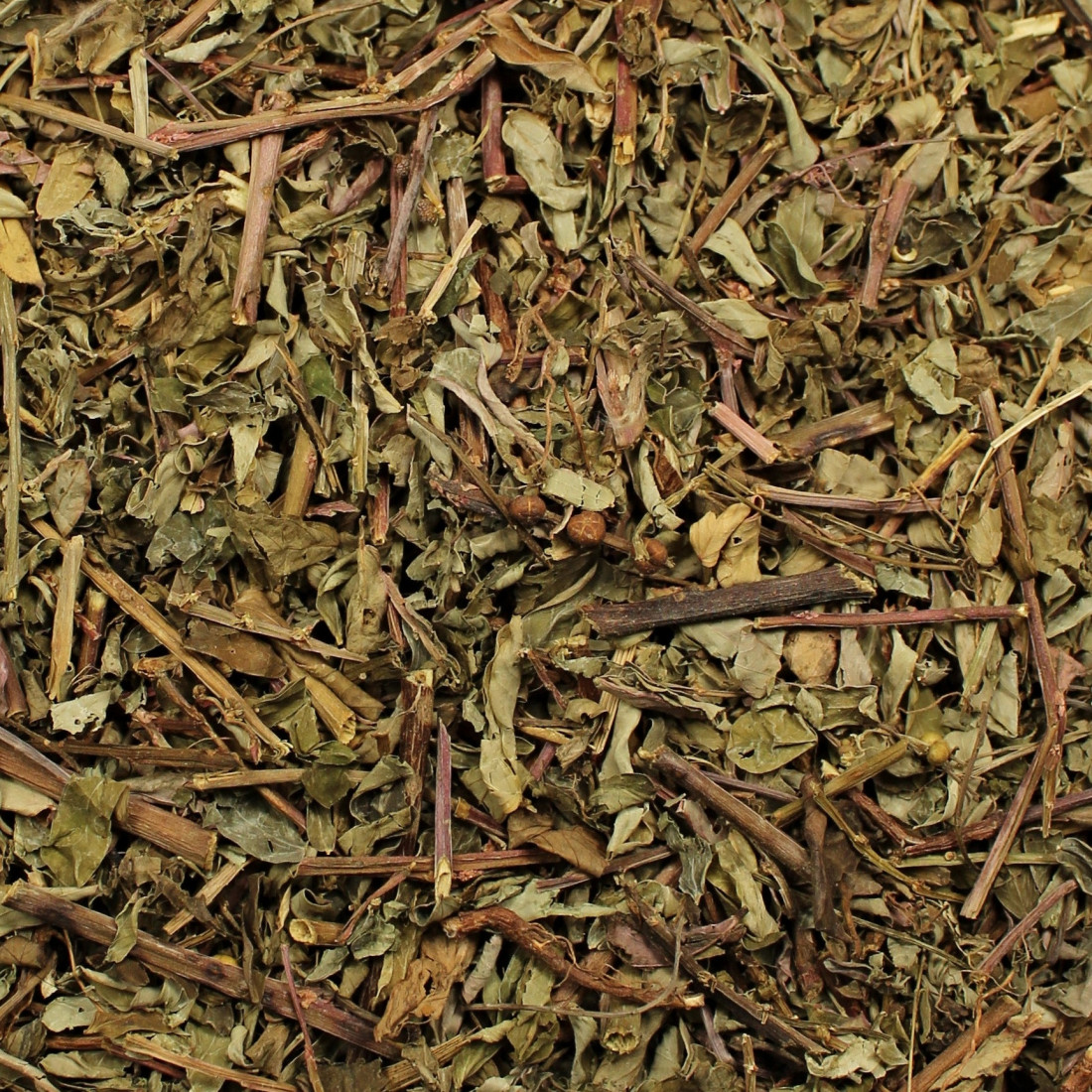 Chanca piedra

