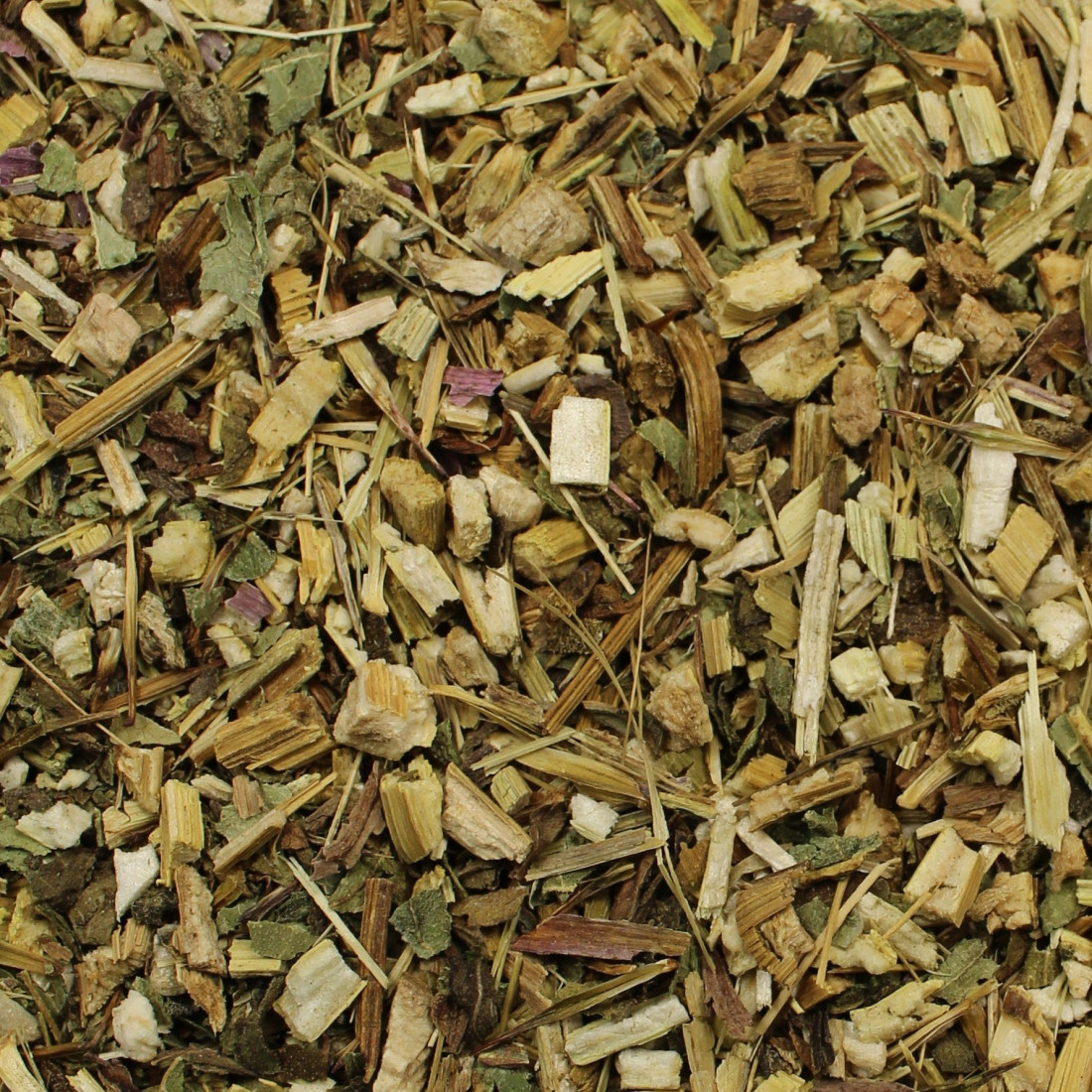 Echinacea purpurová