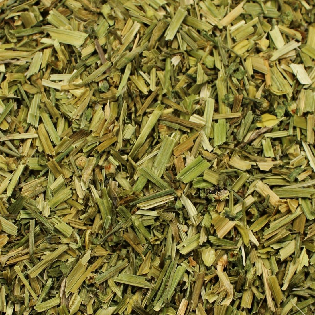 Fialka trojfarebná
