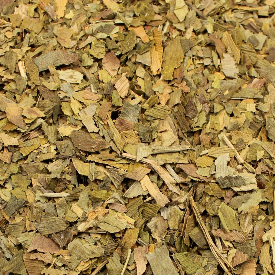 Ginko dvojlaločné