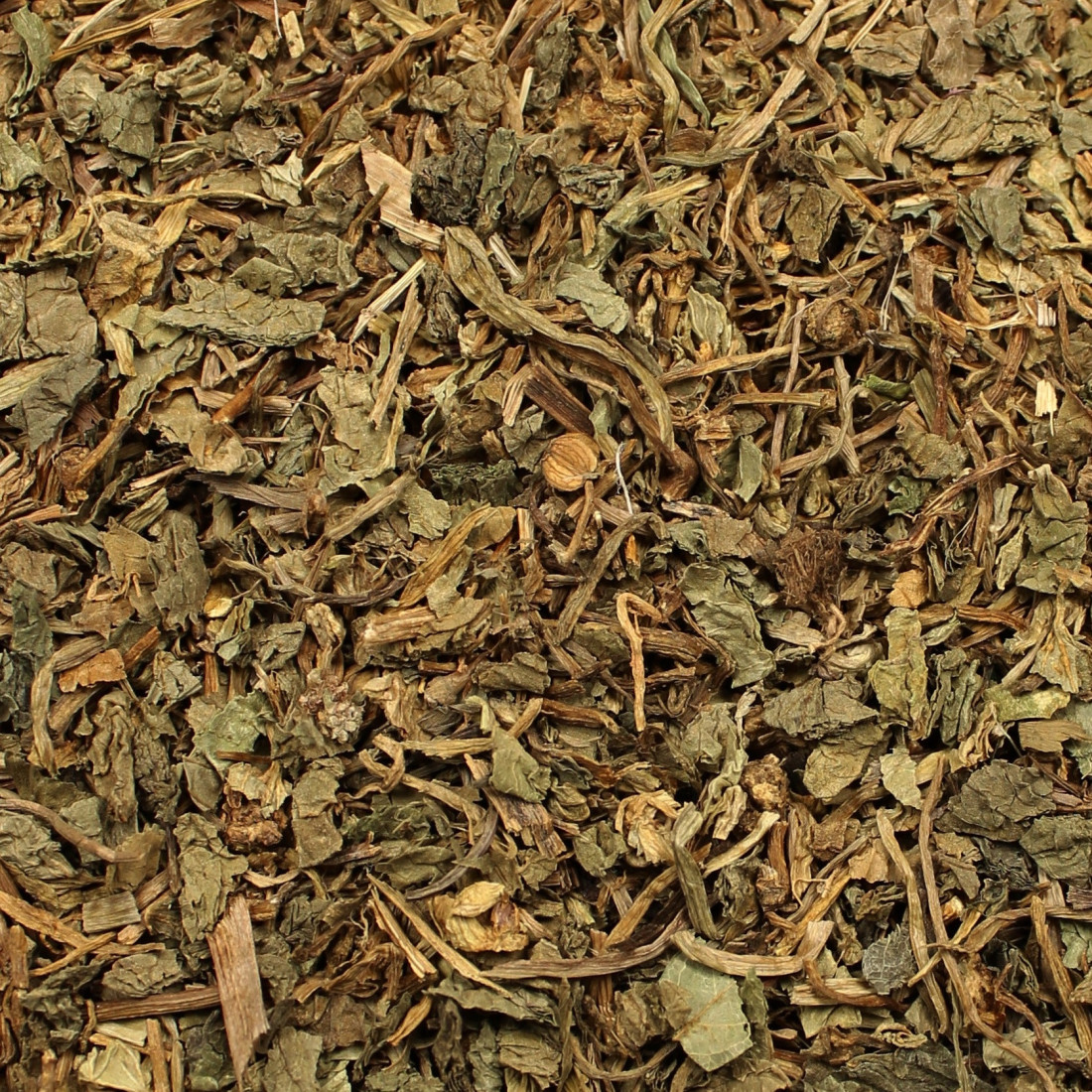 Gotu kola (Pupočník ázijský)