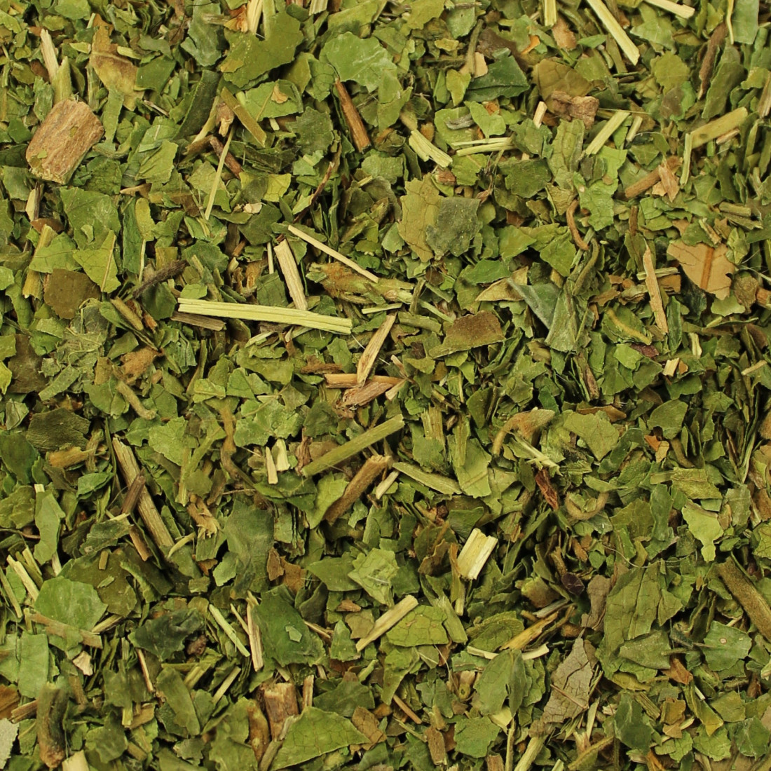 Gurmar (Gymnema sylvestre)
