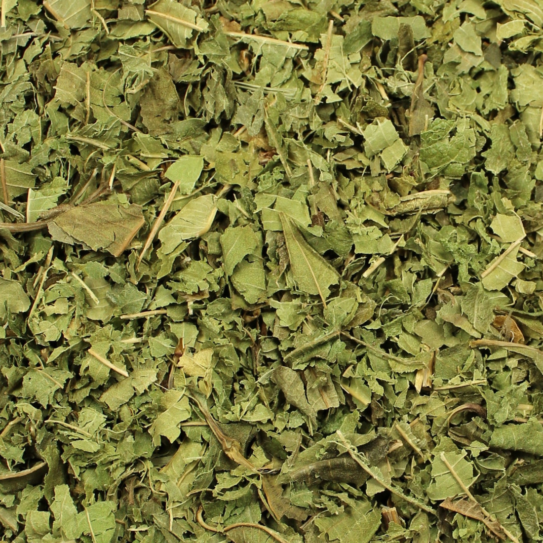 Hierba luisa