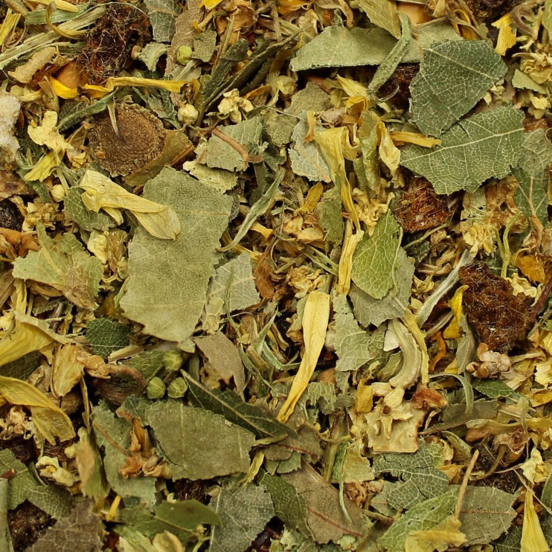 Imunitná