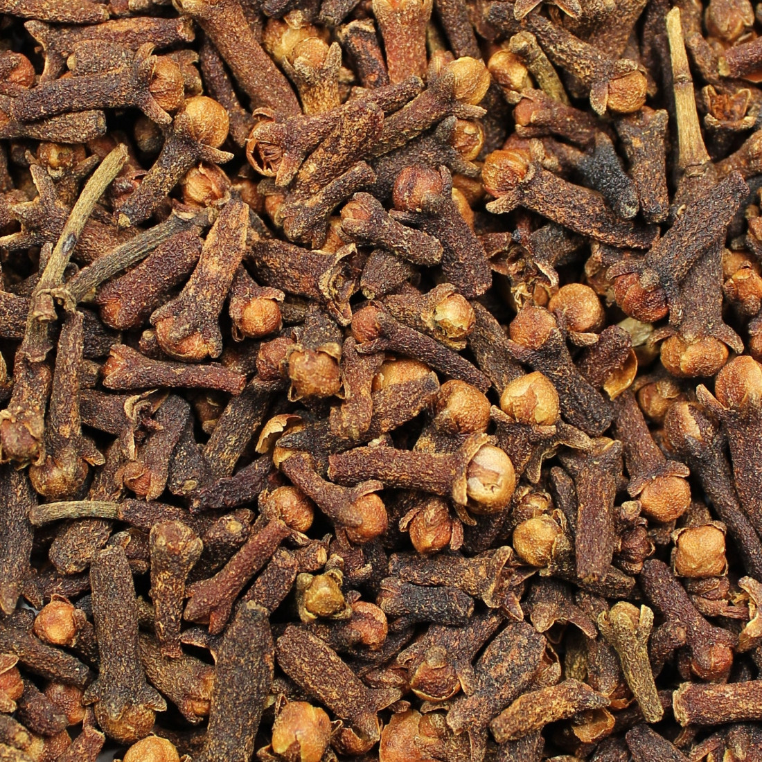 Klinčekovec voňavý (Klinček)