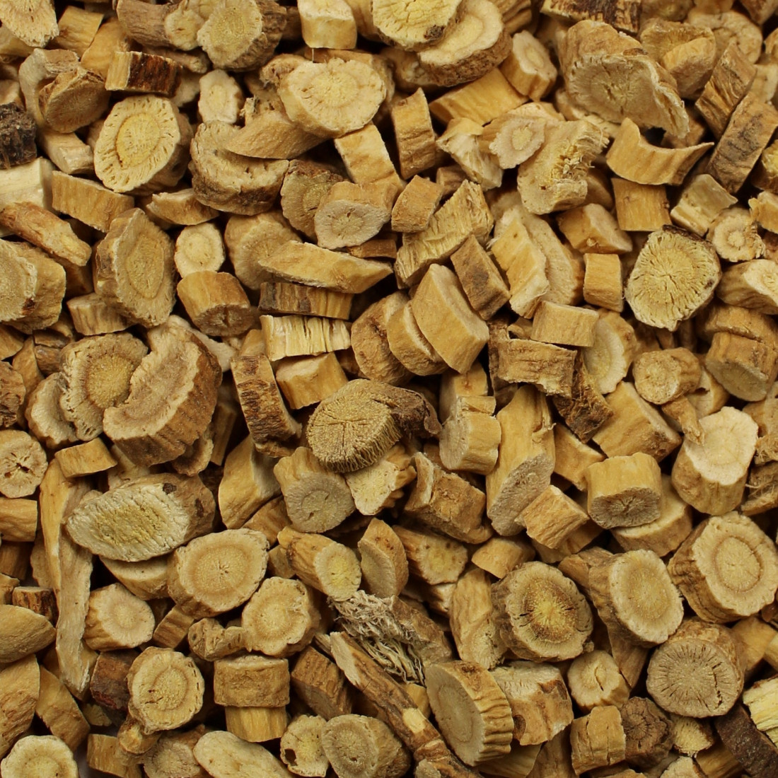 Kozinec blanitý