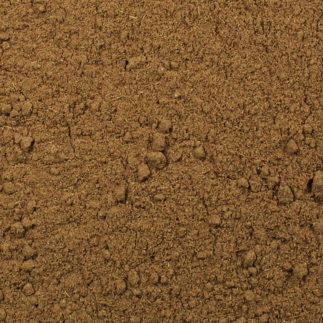 Kudzu