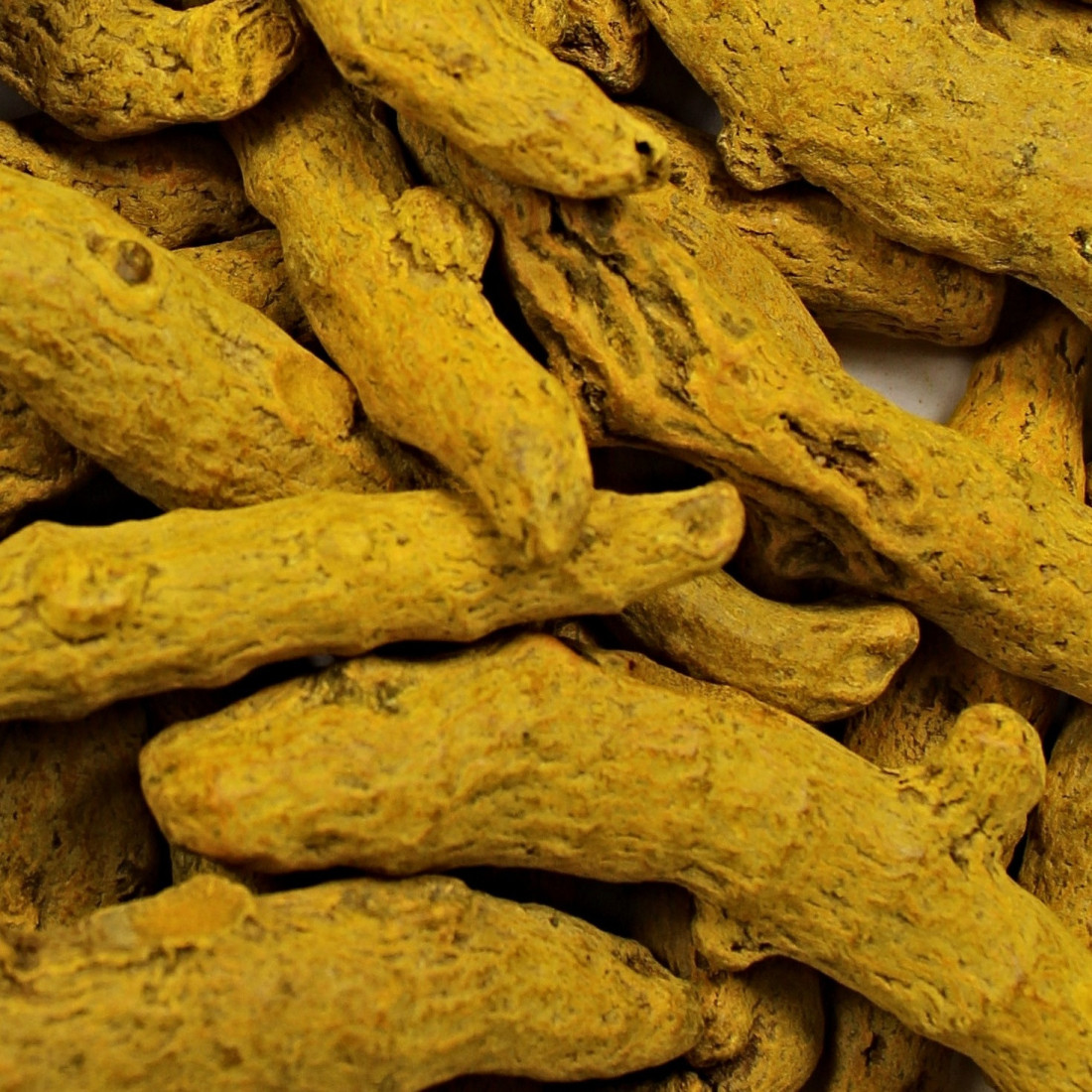 Kurkuma (Kurkumovník dlhý)
