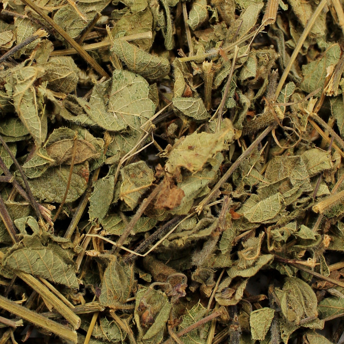 Manayupa