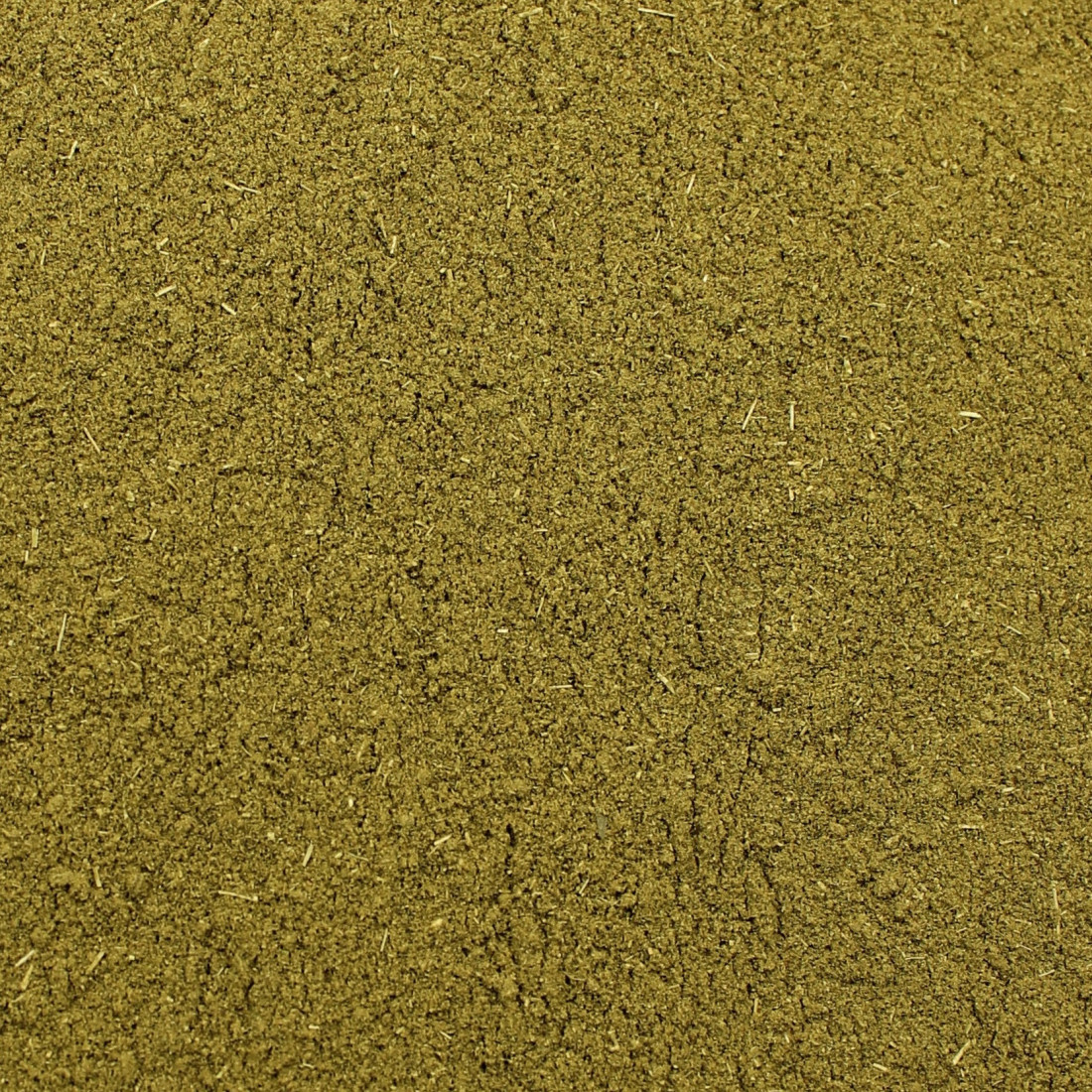 Moringa olejodárna