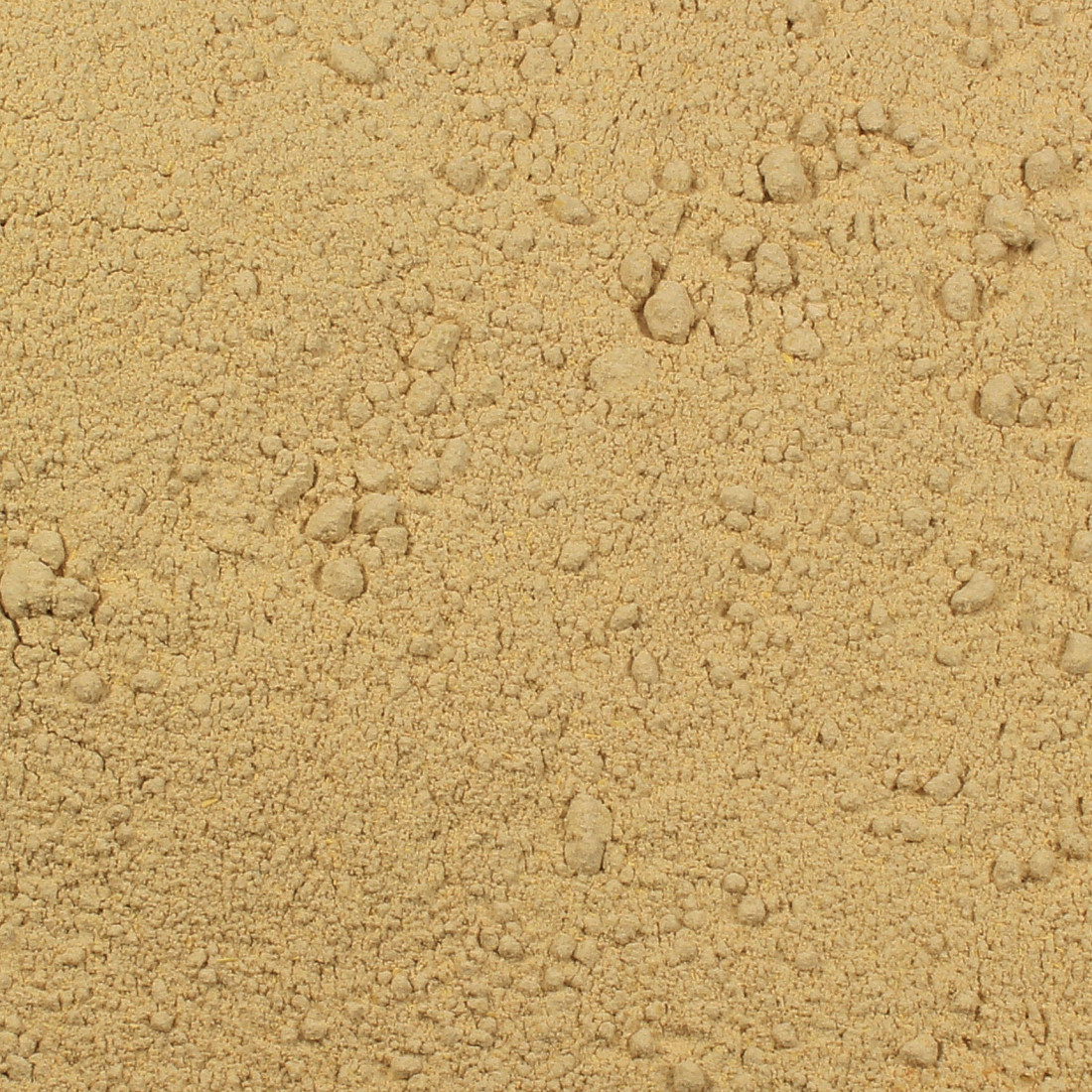 Mydlica biela - levantská