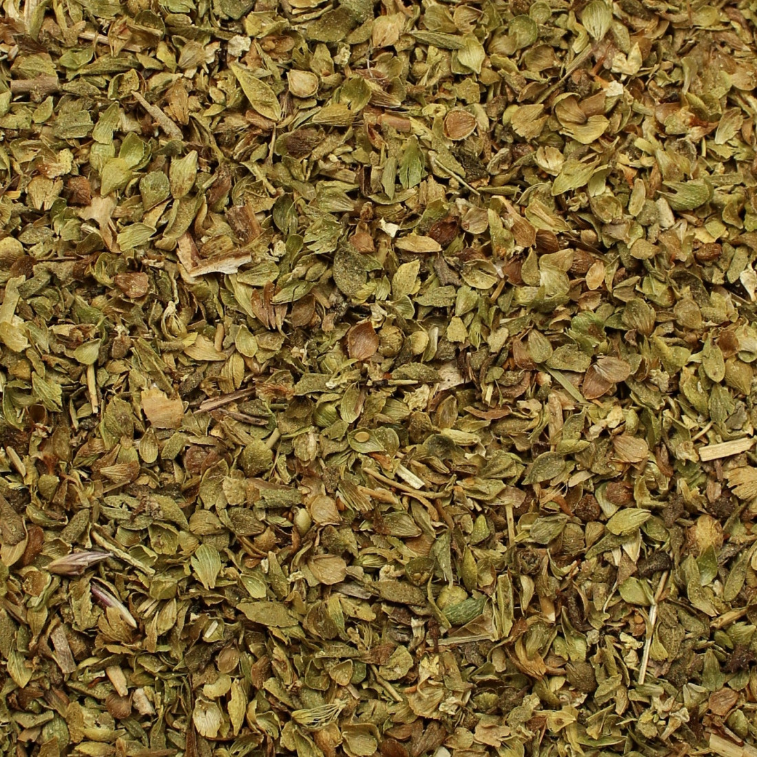 Oregano krétske