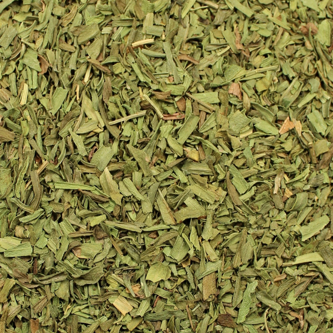 Palina dračia (Estragón)