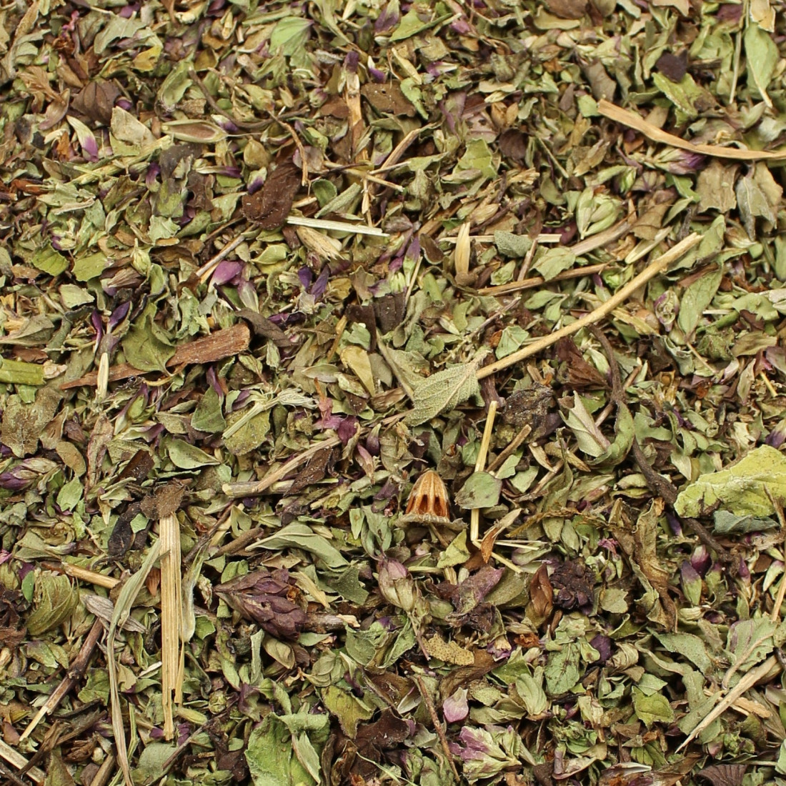 Pamajorán obyčajný (Oregano)