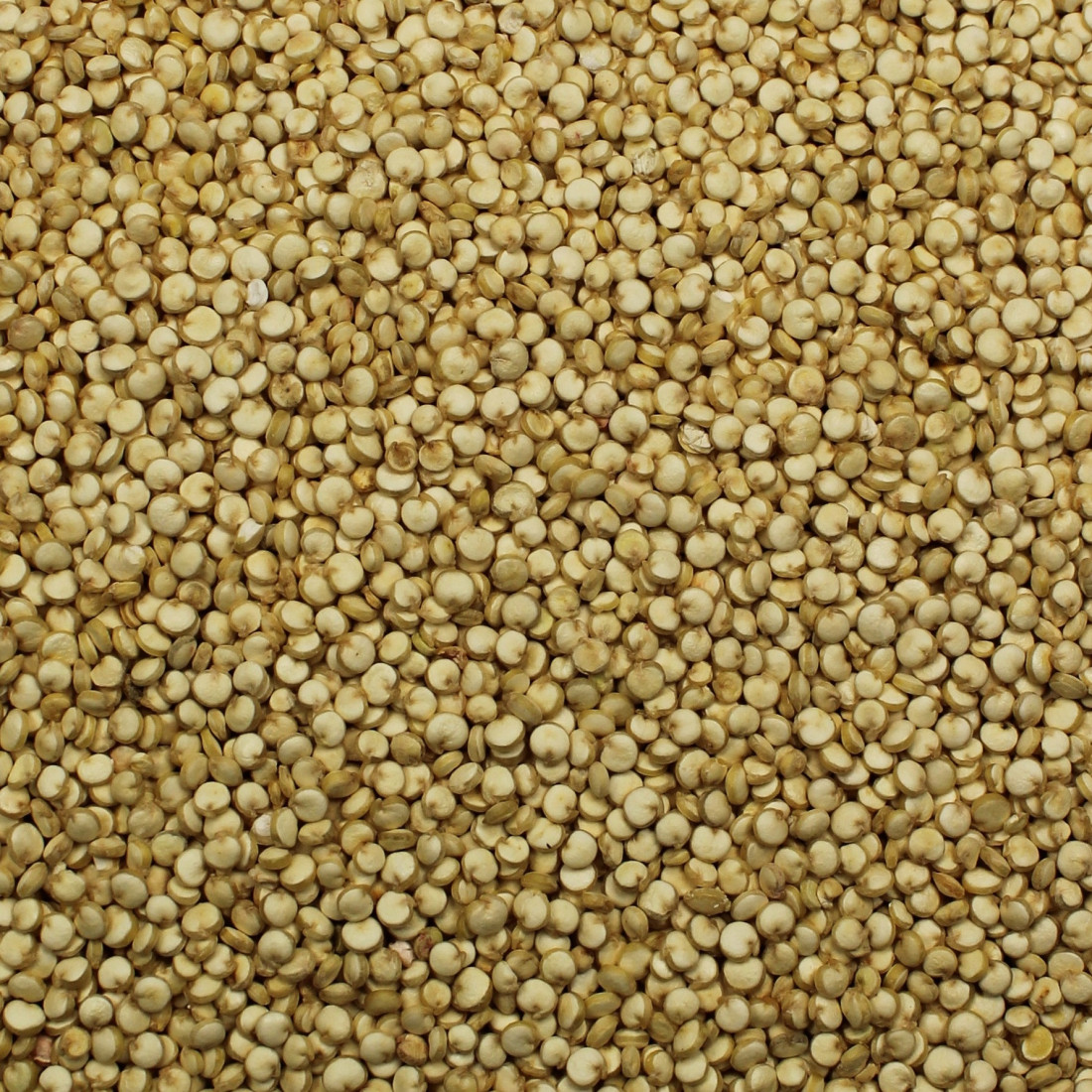 Quinoa BIO (Mrlík čílsky)