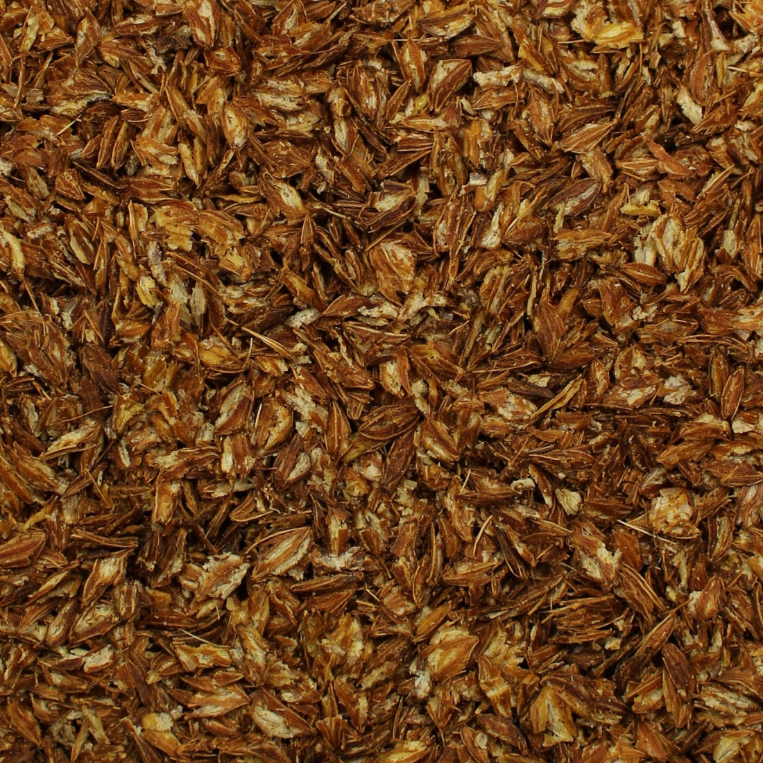 Rasca lúčna