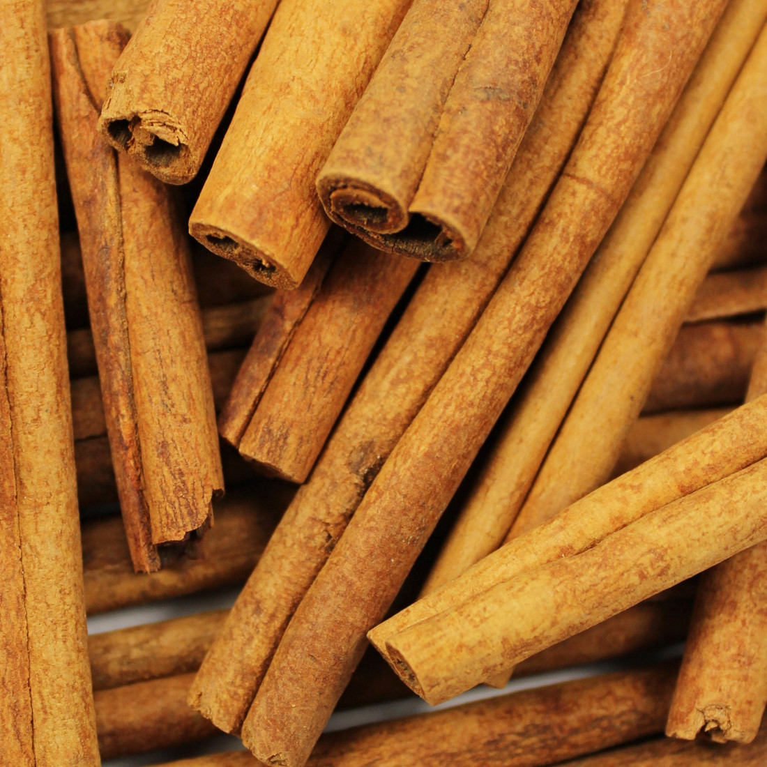 Škorica čínska (Cassia)