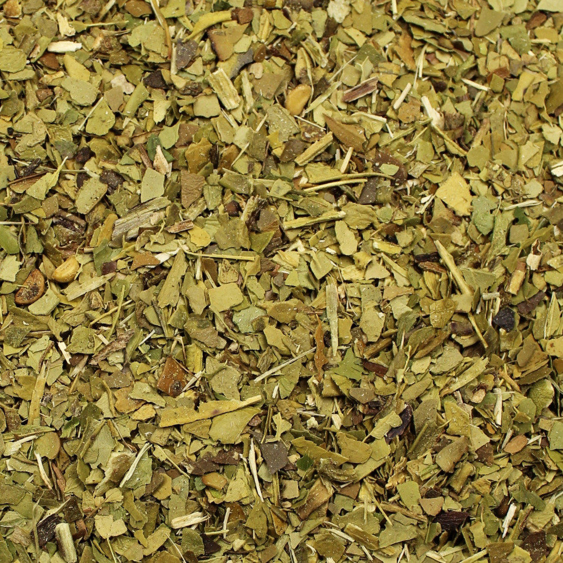 Yerba maté (Cezmína paraguajská)