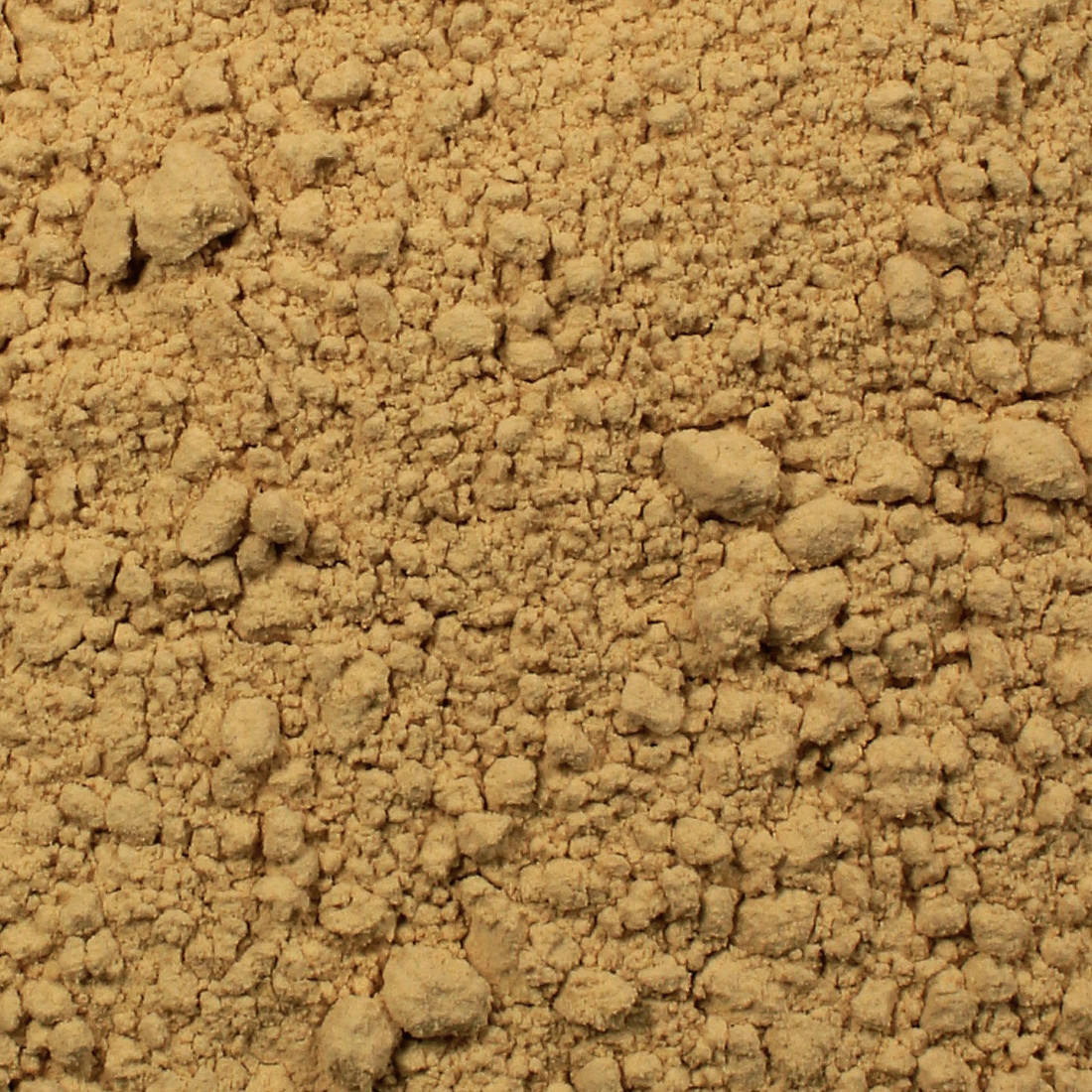 Žen-šen biely (Všehoj ázijský)