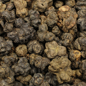 Noni (Moruša indická)