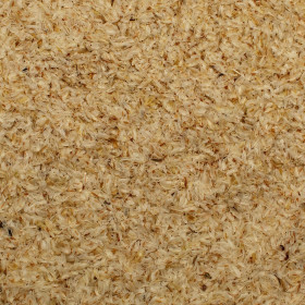 Psyllium (Skorocel indický)