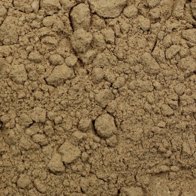 Psyllium biele (Skorocel indický)