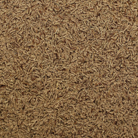 Psyllium čierne