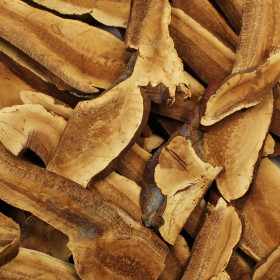 Reishi (Lesklokôrovka obyčajná)