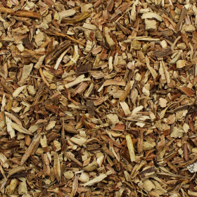 Sarsaparila (Smilax, Prestup uzdravujúci)