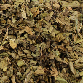 Skorocel kopijovitý
