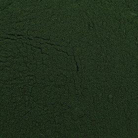 Spirulina