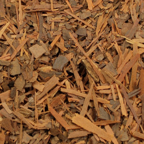 Lapacho (Tecome lapacho)