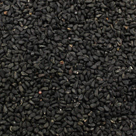 Černuška siata (Čierna rasca, Nigella)

