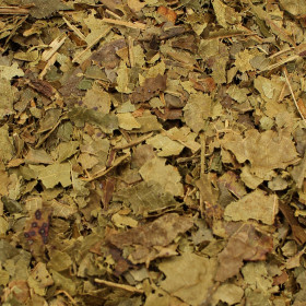 Achiote (Orelánik farbiarsky)