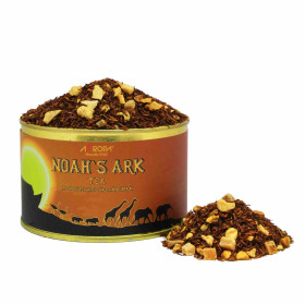 Noah's Ark