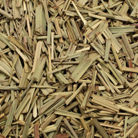 Lemongrass (Vôňovec citrónový)