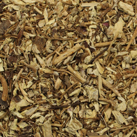 Echinacea purpurová