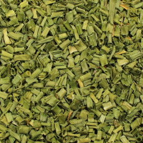 Cesnak pažítkový (Pažítka)