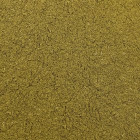 Moringa olejodárna