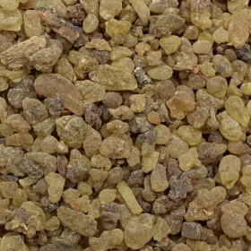 Kadidlo (Kadidlovník pílovitý)