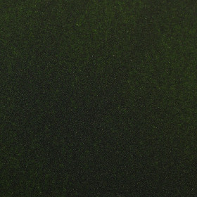 Chlorela BIO