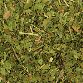 Gurmar (Gymnema sylvestre)