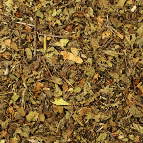 Bazalka posvätná (Tulsi)