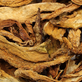 Caigua