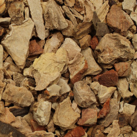 Dioskórea huňatá (Wild yam)