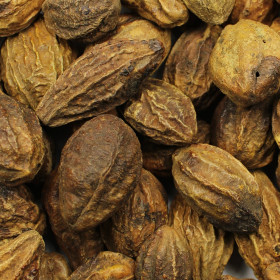 Haritaki (Vrcholiak myrobalanový)