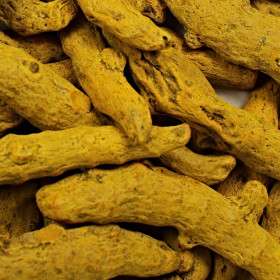 Kurkuma (Kurkumovník dlhý)